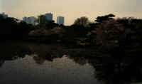 Tokyo_park_lake.jpg (16392 bytes)